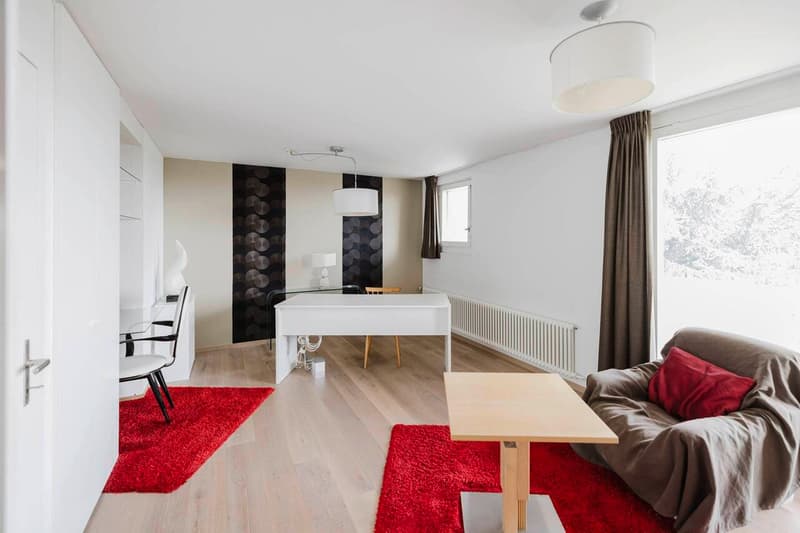 Magnifique villa contemporaine (4)