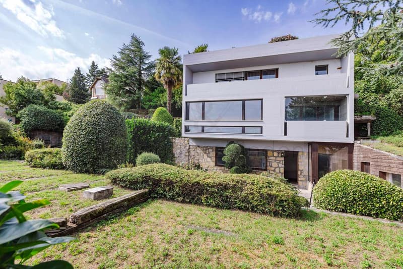 Magnificent contemporary villa (1)
