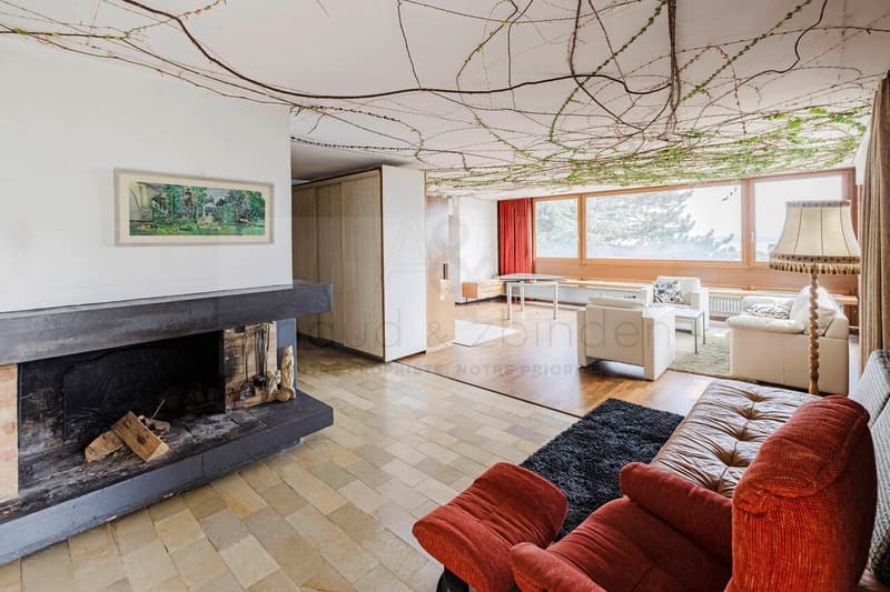 Magnificent contemporary villa (2)