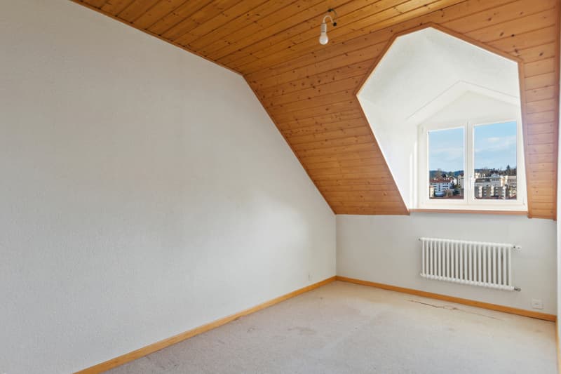 Spacious duplex apartment with possibility of expansion (2)