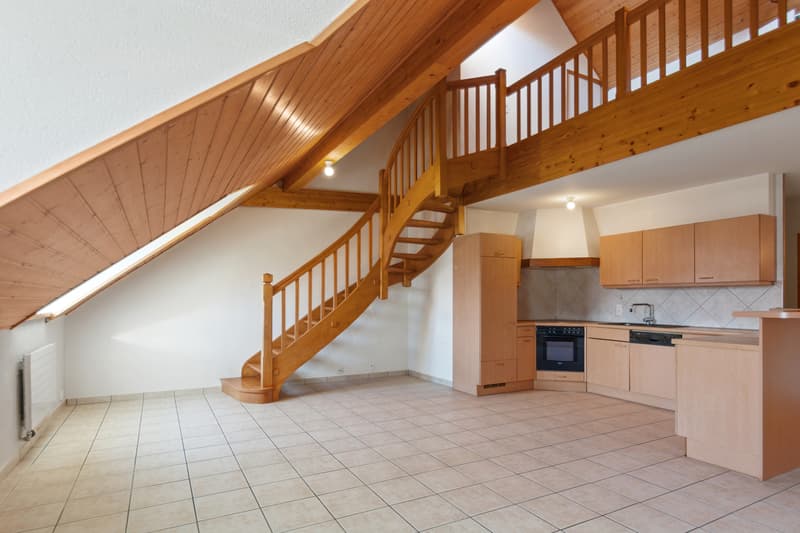 Spacious duplex apartment with possibility of expansion (4)
