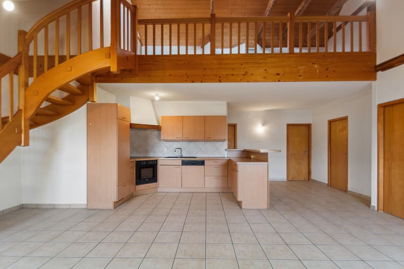 Spacious duplex apartment with possibility of expansion (3)