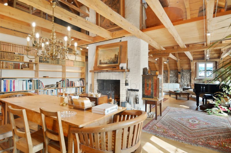 Art de Vivre & Grand Standing - Duplex d'Exception aux Allures de Loft (2)