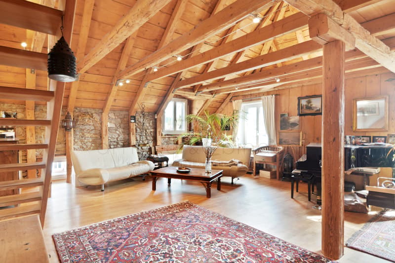 Art de Vivre & Grand Standing - Duplex d'Exception aux Allures de Loft (1)