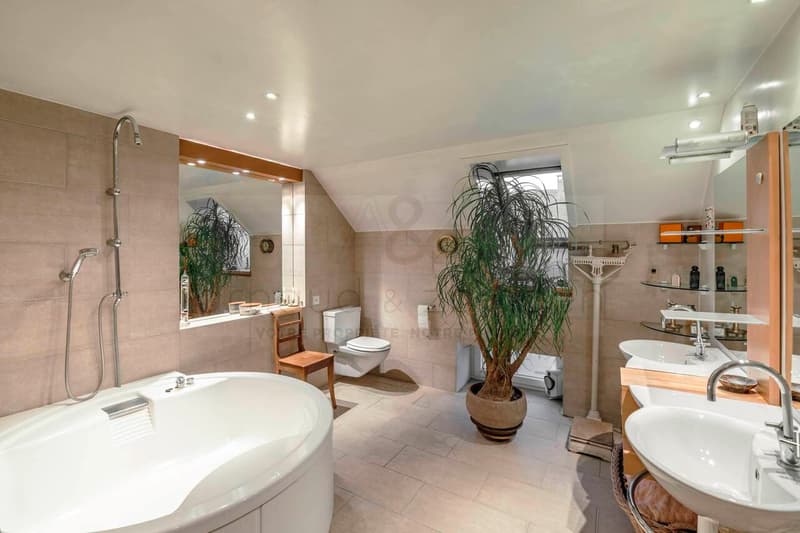 Arte di vivere in questo duplex eccezionale con aspetto loft (4)
