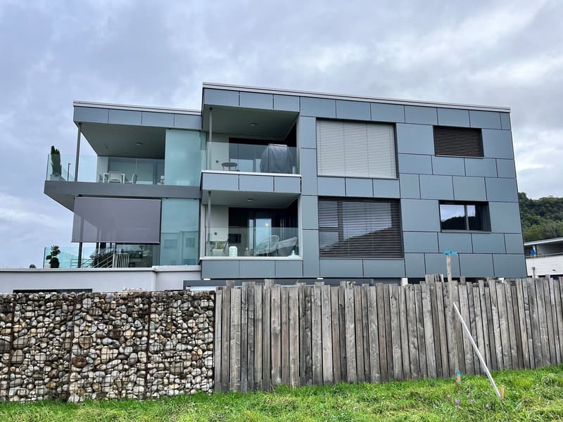 Beautiful 3.5-room apartment in Cheyres with breathtaking views of the lake (2)