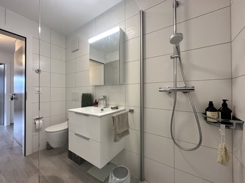 Beautiful 3.5-room apartment in Cheyres with breathtaking views of the lake (12)