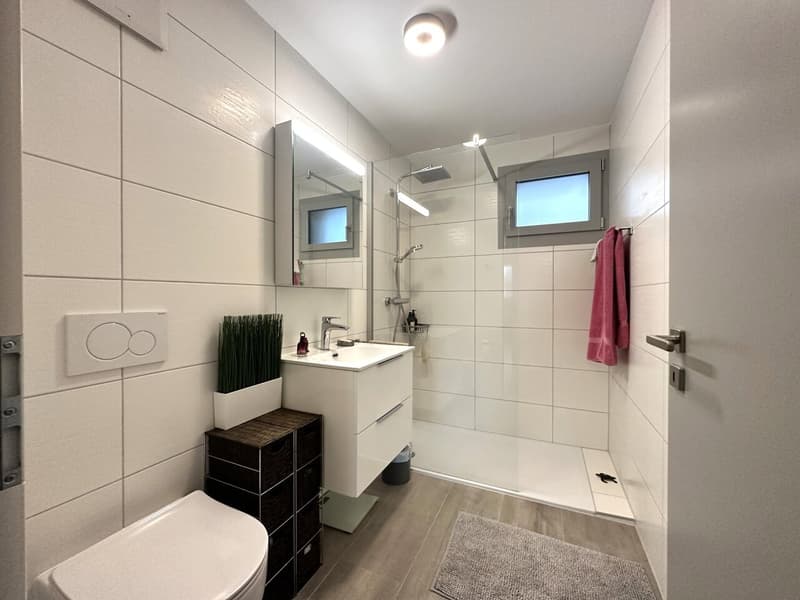 Beautiful 3.5-room apartment in Cheyres with breathtaking views of the lake (13)