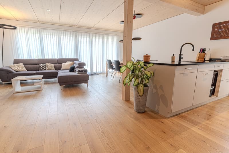 Plus qu'un simple bâtiment neuf - un foyer avec beaucoup d'attention aux détails (5)