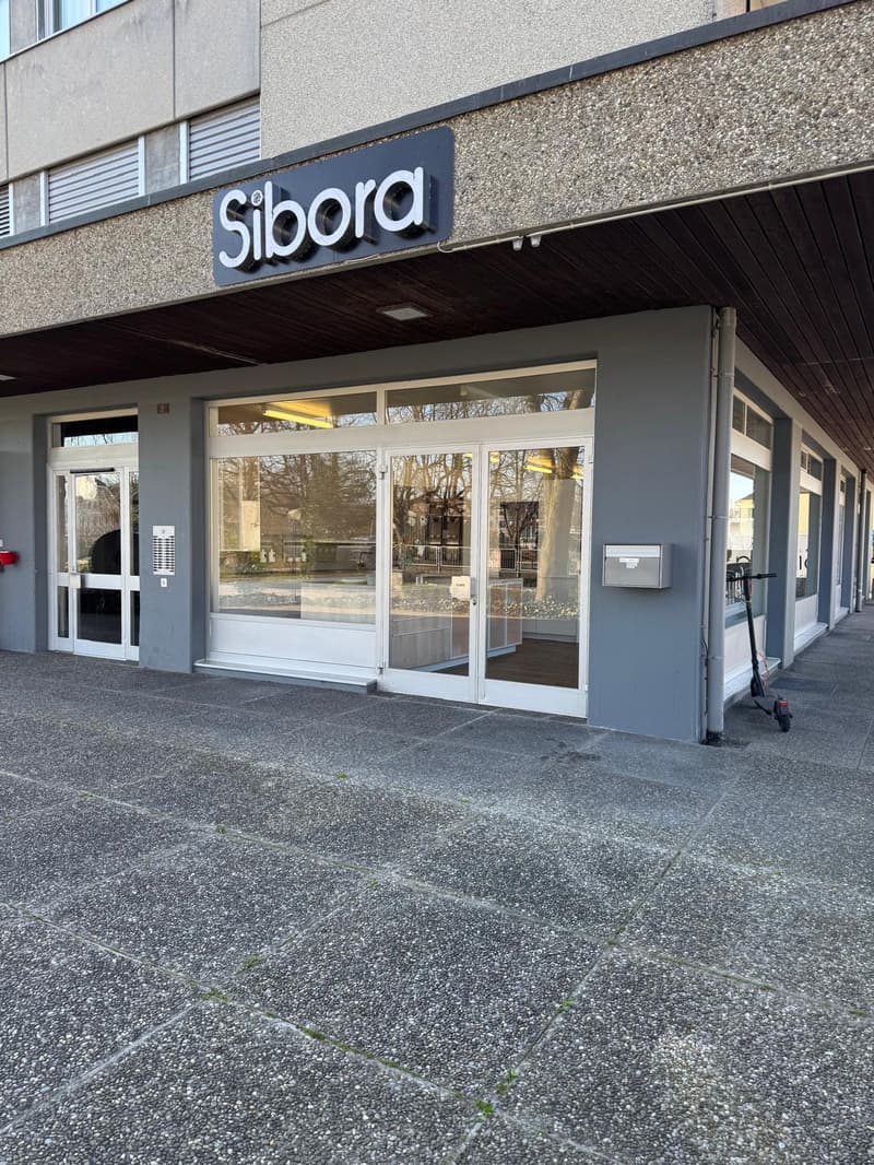 Il tuo nuovo business - ufficio - studio - pratica (2)
