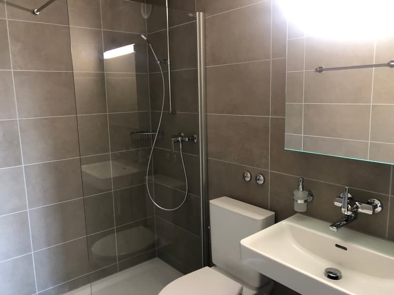 Votre nouveau foyer (4)