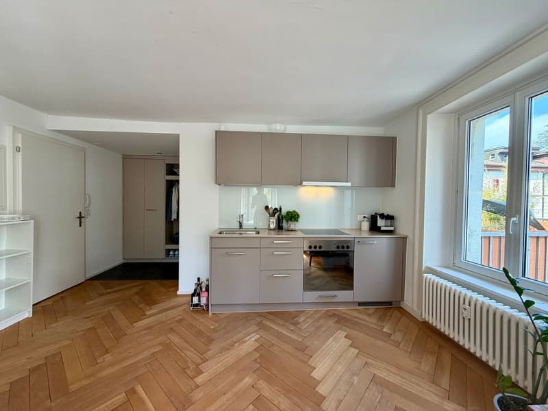 Modern City Apartment (3)