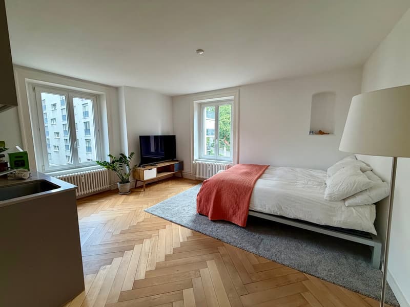 Modern City Apartment (1)