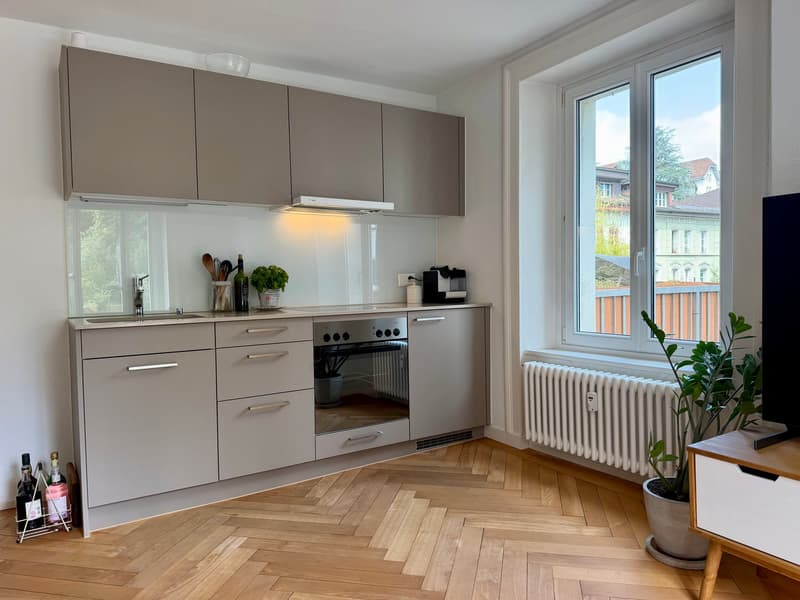 Modern City Apartment (2)
