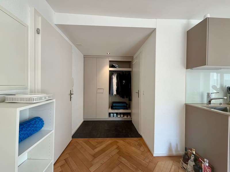 Modern City Apartment (4)