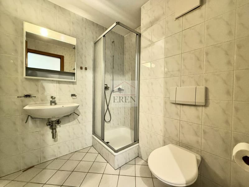 Appartement 3,5 pièces à louer à Conthey