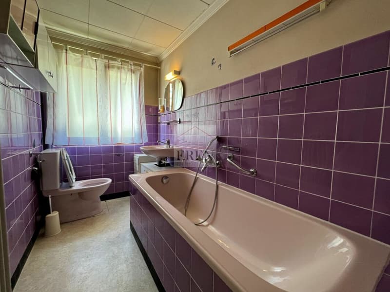 Villa / maison individuelle à vendre à Ardon (Valais central)
