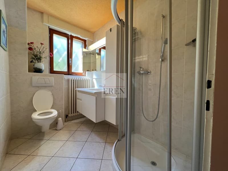 Villa / maison individuelle à vendre à Ardon (Valais central)
