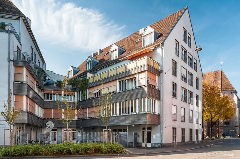 Architektonisch aussergewöhnliche Wohnung in Rheinnähe (2)
