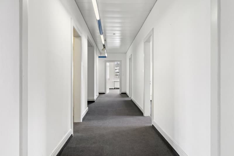 backbone_531909-A_049_WEB.jpg