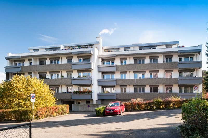 Appartamento meraviglioso con piano interessante in zona tranquilla a Pratteln (2)