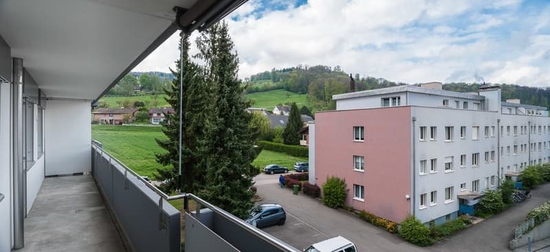 Appartamento meraviglioso con piano interessante in zona tranquilla a Pratteln (6)