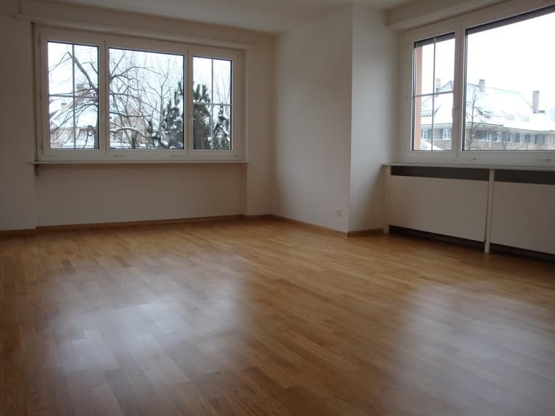 Central apartment at Aeschenplatz (4)