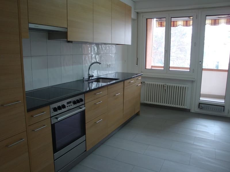 Central apartment at Aeschenplatz (2)