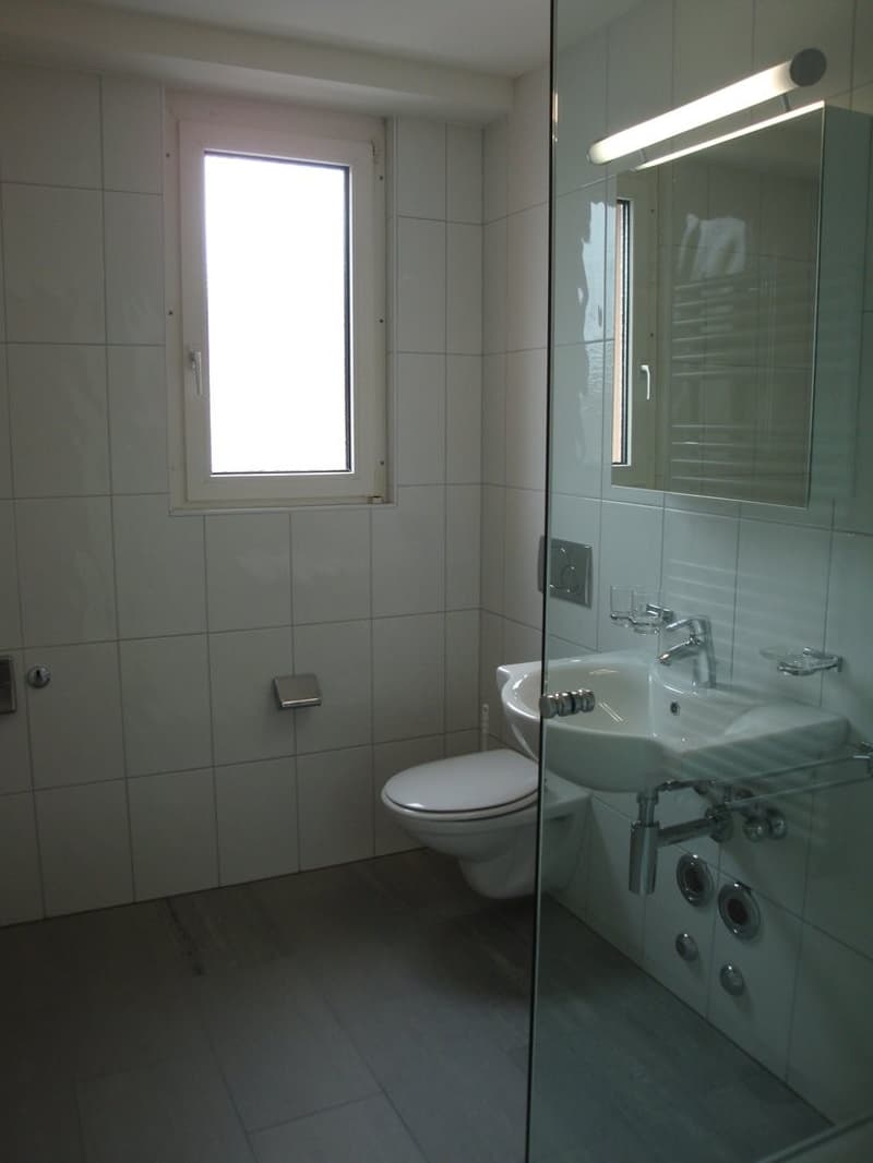 Central apartment at Aeschenplatz (3)