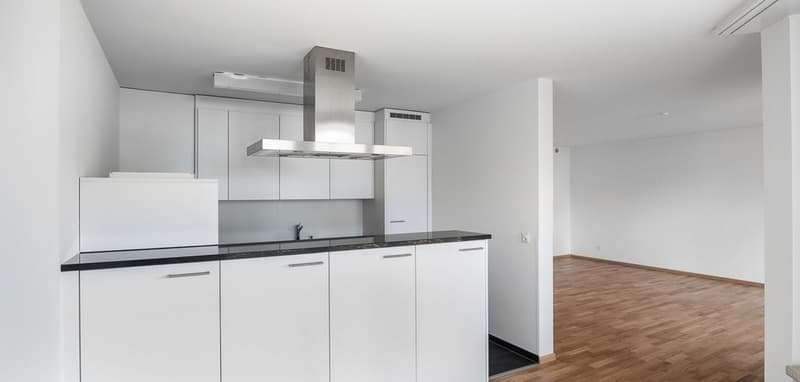 Cozy Minergie Apartment (7)