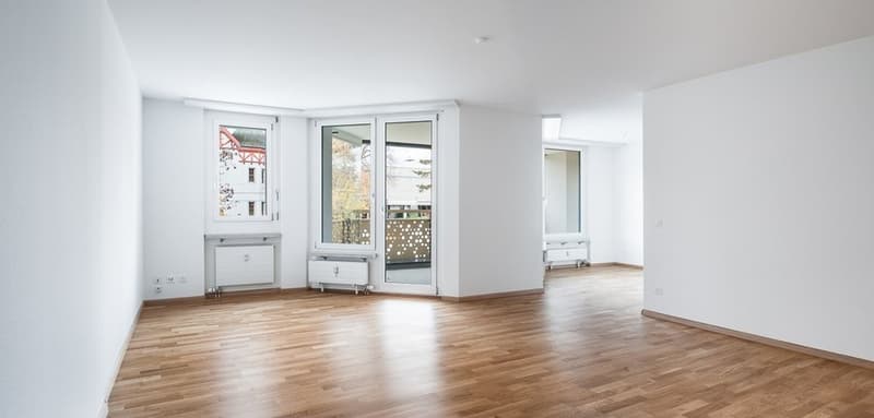 Cozy Minergie Apartment (3)