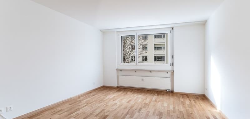 Cozy Minergie Apartment (4)