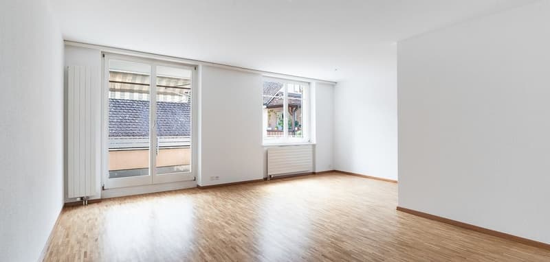 Appartement magnifique dans le centre du village d'Arlesheim (2)
