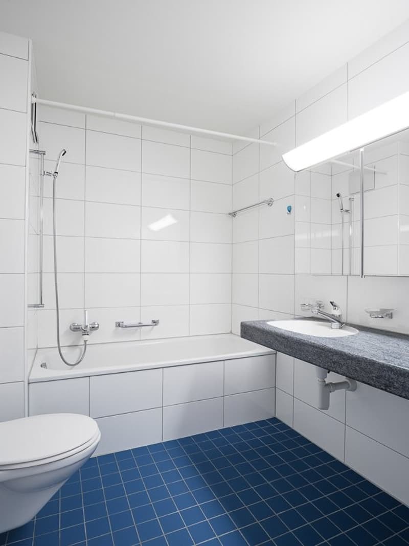 Appartement magnifique dans le centre du village d'Arlesheim (6)