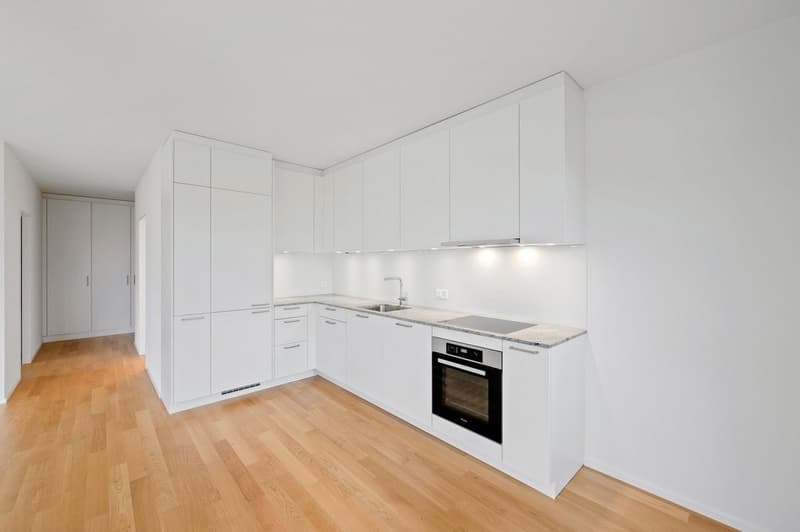 Appartamento unico di 2,5 locali con finiture di alta qualità (7)