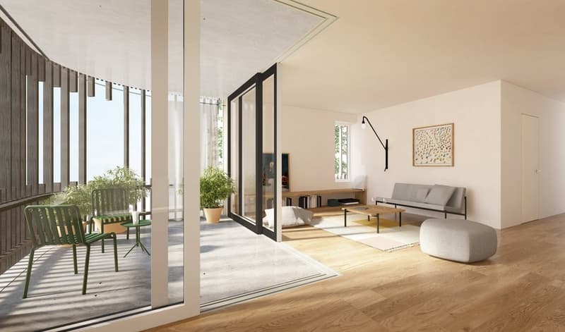 Appartamento unico di 2,5 locali con finiture di alta qualità (5)