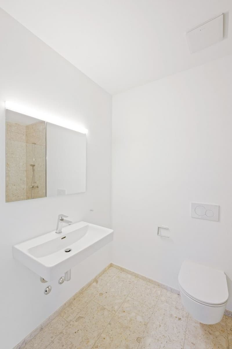 Appartamento unico di 2,5 locali con finiture di alta qualità (9)