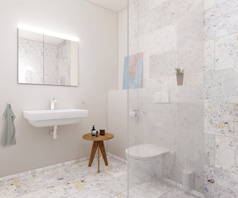 Appartamento unico di 2,5 locali con finiture di alta qualità (8)