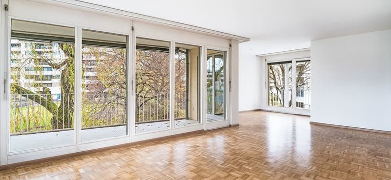 Appartamento attraente di 4,5 locali con torre di lavaggio privata (6)
