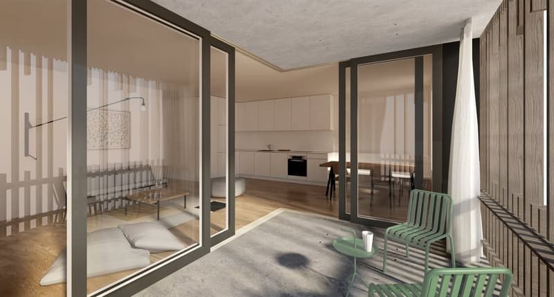 Attraktive Neubauwohnung im schönen Allschwil (2)