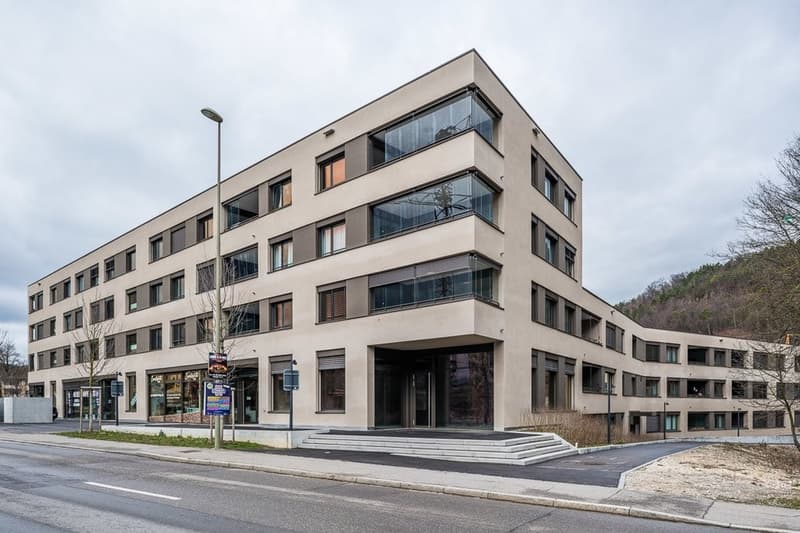 Ottimo appartamento di 3,5 locali nel complesso WEIERWEG a Liestal (1)
