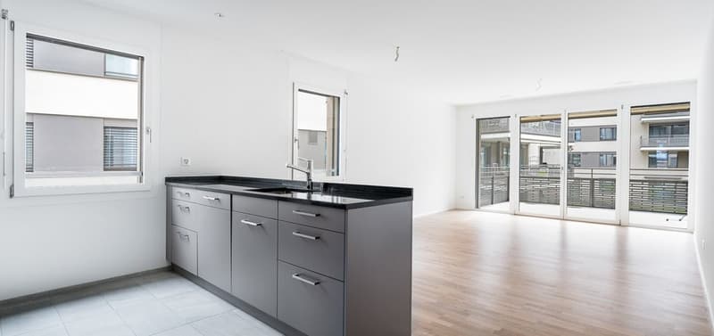 Living in the WEIERWEG development in Liestal (2)