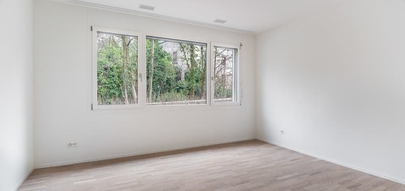 Attractive 4.5 room apartment in the WEIERWEG development in Liestal (5)