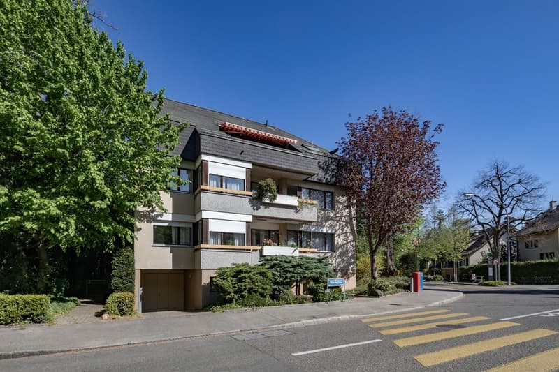 Zona residenziale popolare a Riehen (1)