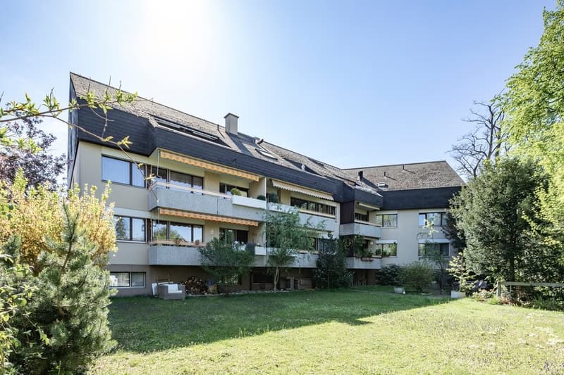 Zona residenziale popolare a Riehen (3)