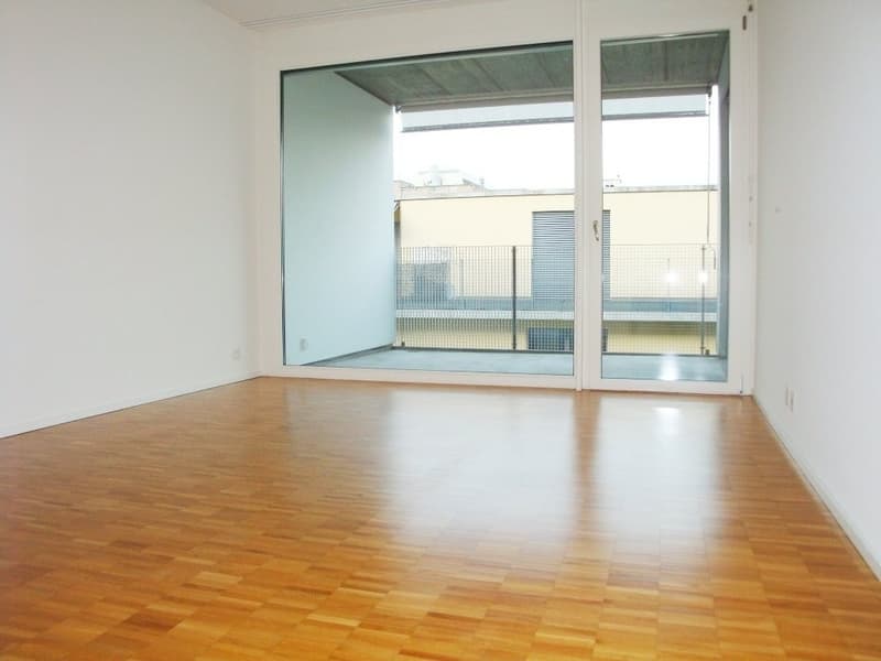 3 bedroom apartment near Novartis/BASF (5)