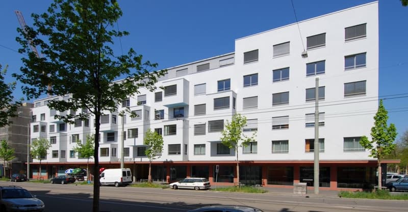 3 bedroom apartment near Novartis/BASF (1)