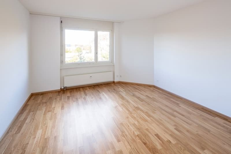 Exklusive Attikawohnung mit drei Terrassen nähe Spalentor (7)