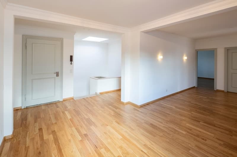 Exklusive Attikawohnung mit drei Terrassen nähe Spalentor (2)