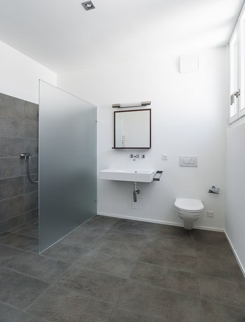 Exklusive Wohnung in der Freie-Strasse (6)